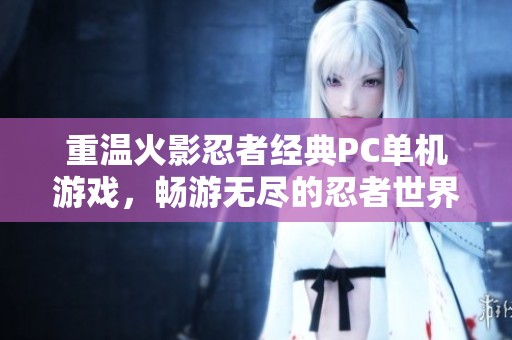 重温火影忍者经典PC单机游戏，畅游无尽的忍者世界魅力