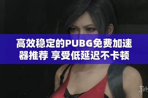 高效稳定的PUBG免费加速器推荐 享受低延迟不卡顿的游戏体验