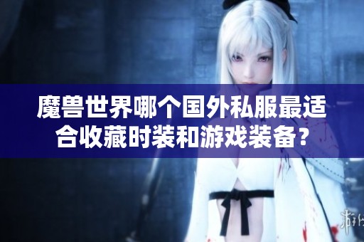 魔兽世界哪个国外私服最适合收藏时装和游戏装备？