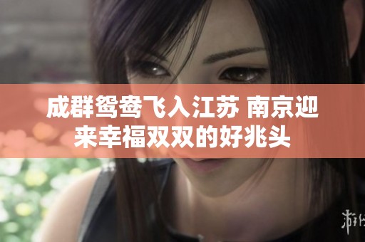 成群鸳鸯飞入江苏 南京迎来幸福双双的好兆头