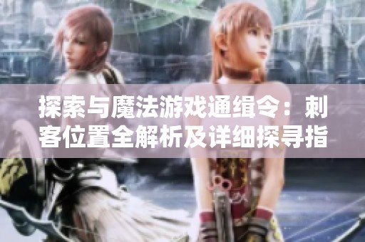 探索与魔法游戏通缉令：刺客位置全解析及详细探寻指南