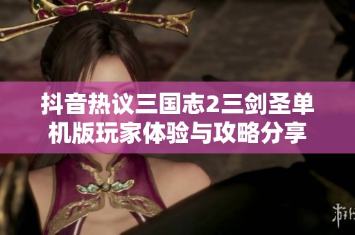 抖音热议三国志2三剑圣单机版玩家体验与攻略分享