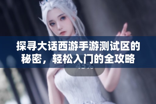 探寻大话西游手游测试区的秘密，轻松入门的全攻略