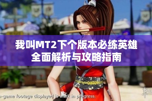 我叫MT2下个版本必练英雄全面解析与攻略指南