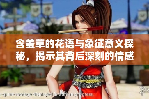 含羞草的花语与象征意义探秘，揭示其背后深刻的情感寓意
