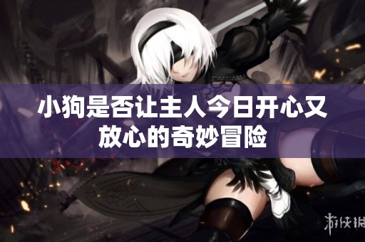 小狗是否让主人今日开心又放心的奇妙冒险