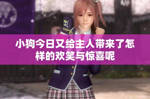 小狗今日又给主人带来了怎样的欢笑与惊喜呢